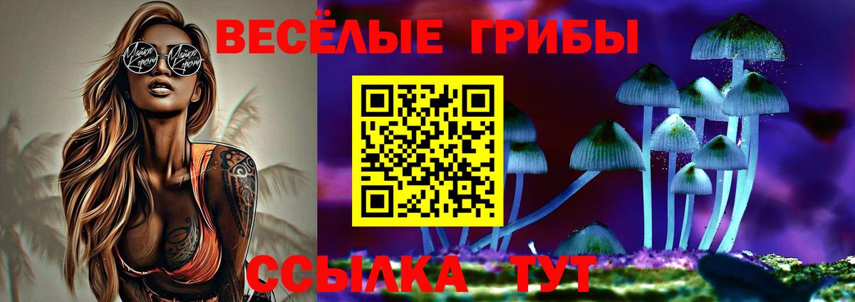 Галлюциногенные грибы Cubensis Миасс